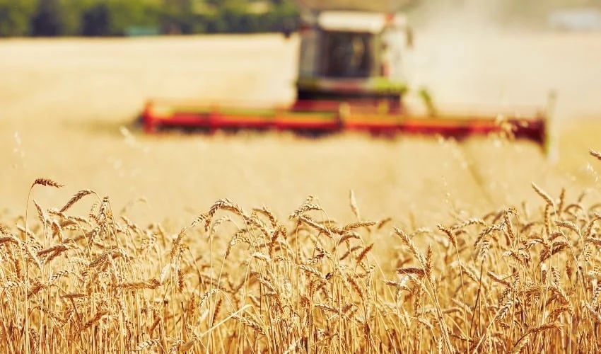 Agricultură - FormFlow